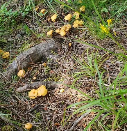 Appartamento Cal Tistu Matemale